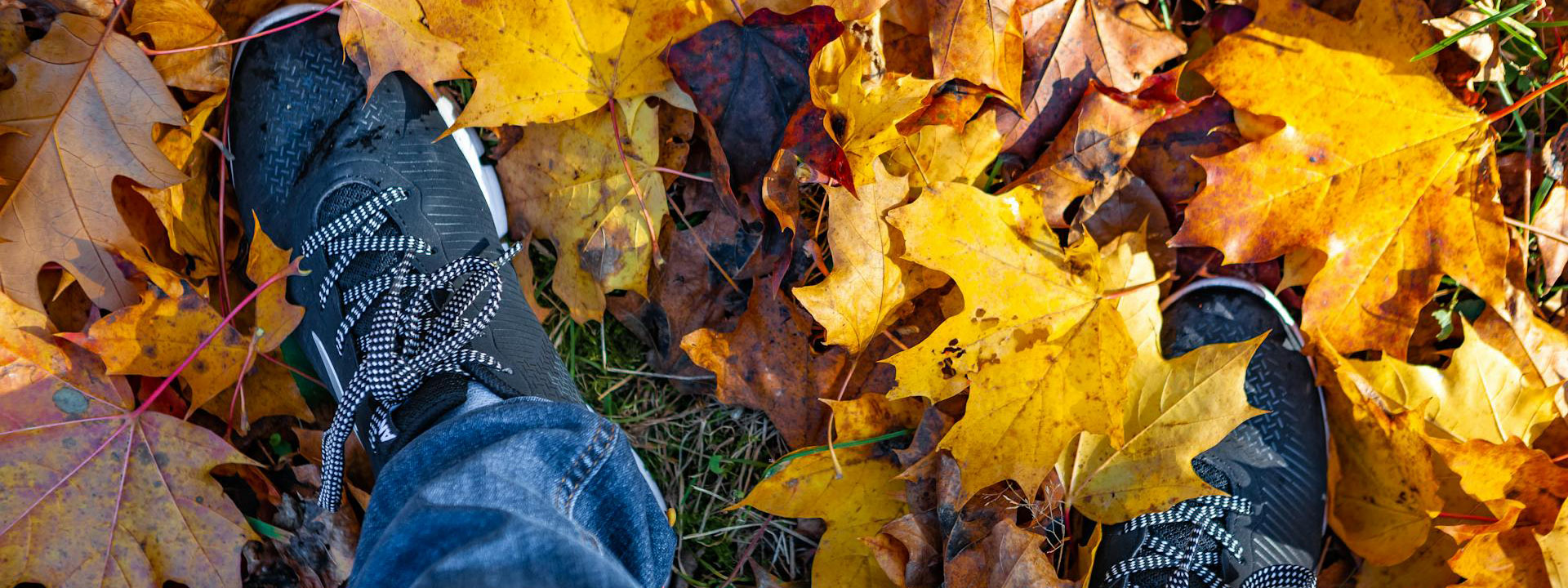 Voorkant -Hoka pexels filirovska 8237138